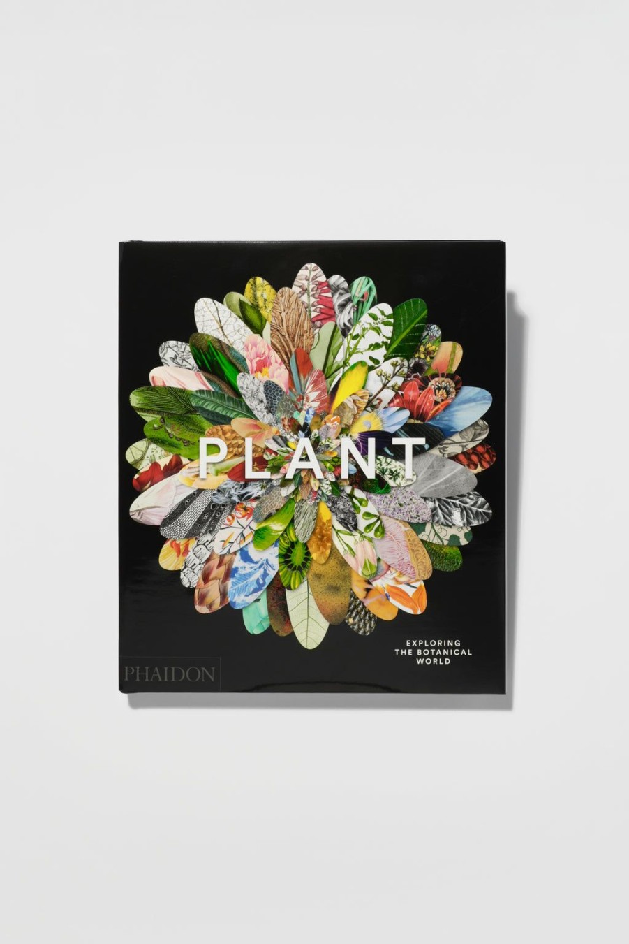 Alliance Distribution Services Plant: Exploring The Botanical World